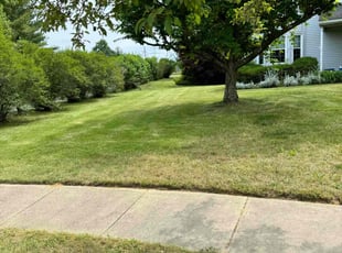 Raymond M.'s Lawn Mowing Service service result