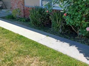 Bush Trimming by Anthony Camacho for Amanda O. in Hemet, CA