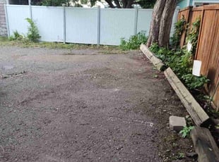 Cleanups by Rolf Johnson for Nabil L. in Saint Paul, MN