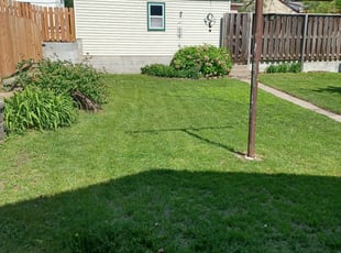Kameron H.'s Lawn Mowing service result