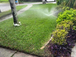 Mike K.'s Lawn Care service result