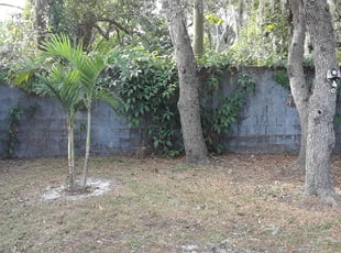 Weeding by Rodney LeDuc for Lisa T. in Tampa, FL