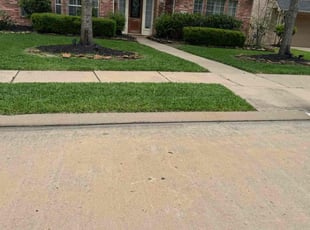 Lorraine K.'s Lawn Mowing Service service result