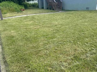 Christina R.'s Lawn Service service result
