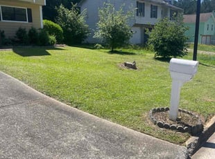 Michael H.'s Lawn Mowing service result