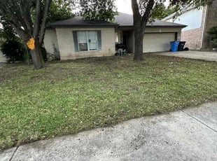 Leaf Removal by Josiah Cantu for Skye N. in Round Rock, TX
