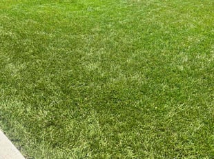 Kathie S.'s Lawn Service service result