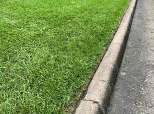 Vee Y.'s Lawn Mowing service result