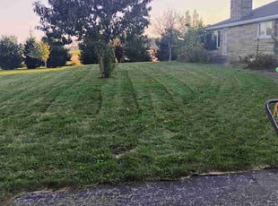 Perla H.'s Lawn Mowing Service service result
