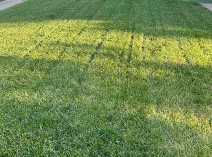 Sandra M.'s Lawn Service service result