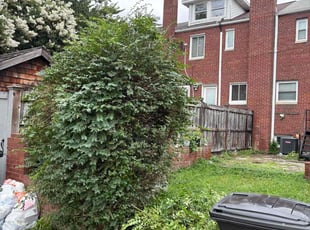 Bush Trimming by Mohammad Haidari for Linda H. in Alexandria, VA