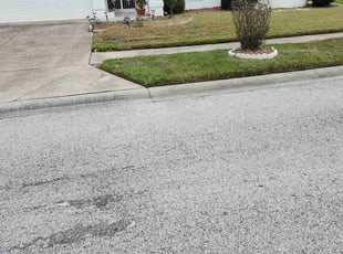 Bush Trimming by Robert Pierson for Edward B. in New Port Richey, FL