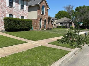 Daryna V.'s Lawn Service service result