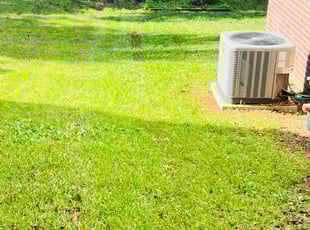 Sharion S.'s Lawn Mowing service result