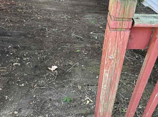 Cleanups by Alexis Campbell for Steven W. in Minneapolis, MN