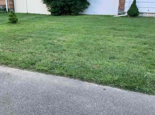 Karen M.'s Lawn Service service result