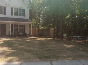 Leaf Removal by Brandon Sanders for Cierra M. in Charleston, SC