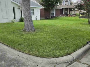 Zhirui D.'s Lawn Care service result