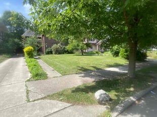 Sherlene M.'s Lawn Care service result