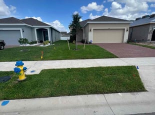 Birgetta H.'s Lawn Mowing Service service result