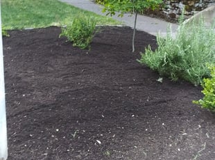 Mulching by Jeffrey Preece for Tom L. in Portland, OR