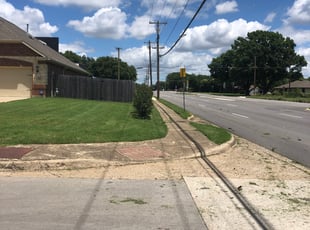 Bush Trimming by Philip Parrish for Joel N. in Dallas, TX