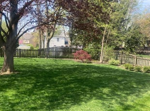 Amjad B.'s Lawn Service service result
