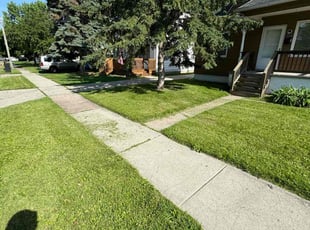 Michael G.'s Lawn Mowing service result