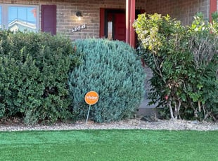 Sandra B.'s Lawn Mowing Service service result