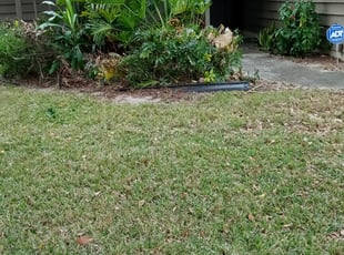 Bush Trimming by James Stuckey for Larry C. in Orlando, FL