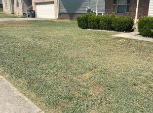 Carlton W.'s Lawn Mowing Service service result