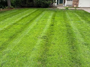Scott M.'s Lawn Service service result