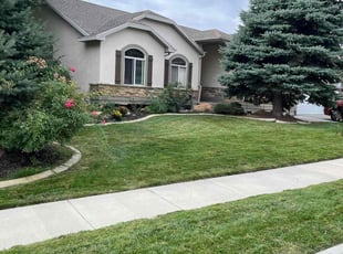 Elena G.'s Yard Cutting service result