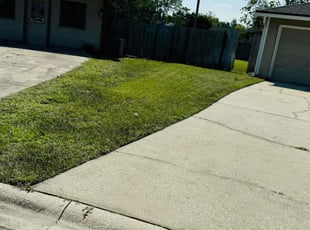 Wanda A.'s Lawn Mowing service result