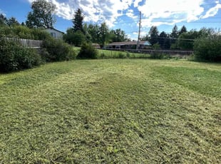 Cleanups by Luka Stanley for Tasia M. in Centennial, CO