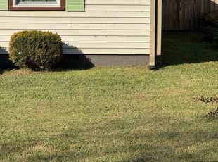 Josh M.'s Lawn Mowing service result