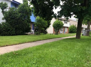 Bush Trimming by John McCardle for Russell A. in Milwaukee, WI