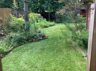 Santos P.'s Lawn Care service result