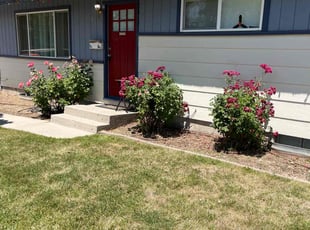 Bush Trimming by Scott Ellis for Theresa B. in Boise, ID