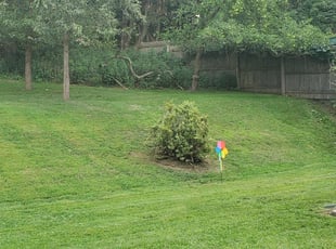 Karen B.'s Lawn Care service result
