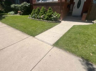 Hugh B.'s Yard Cutting service result