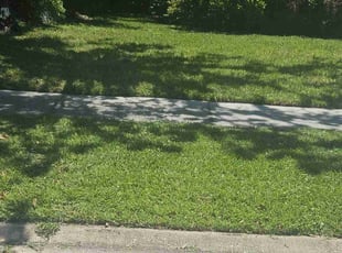 Eugene S.'s Yard Cutting service result