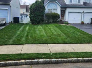 Robert W.'s Lawn Care service result