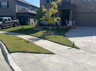 Torian S.'s Yard Cutting service result