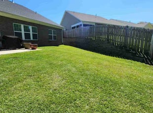 Roger C.'s Lawn Mowing service result