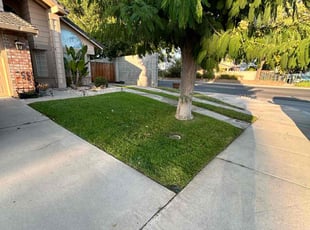 Mary C.'s Lawn Maintenance service result