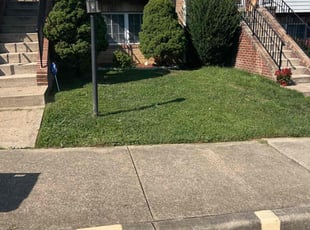 Jim or Sharon A.'s Lawn Mowing service result