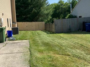 Brittany H.'s Grass Cutting service result