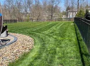 Samantha P.'s Lawn Care service result