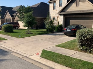 Bush Trimming by Chris Carr for Musab A. in Cedar Park, TX